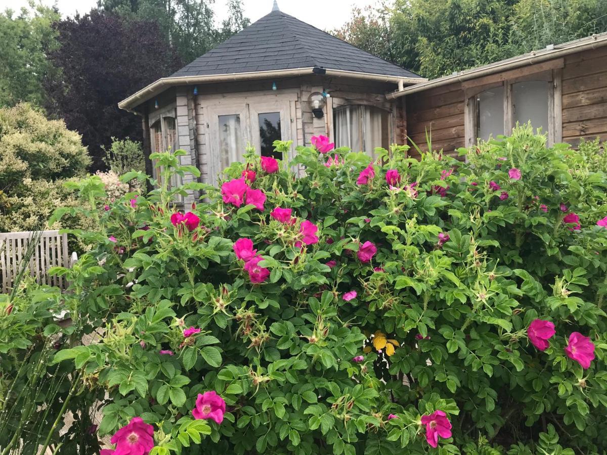 Le Jardin Sauvage Bed & Breakfast Maintenay ภายนอก รูปภาพ
