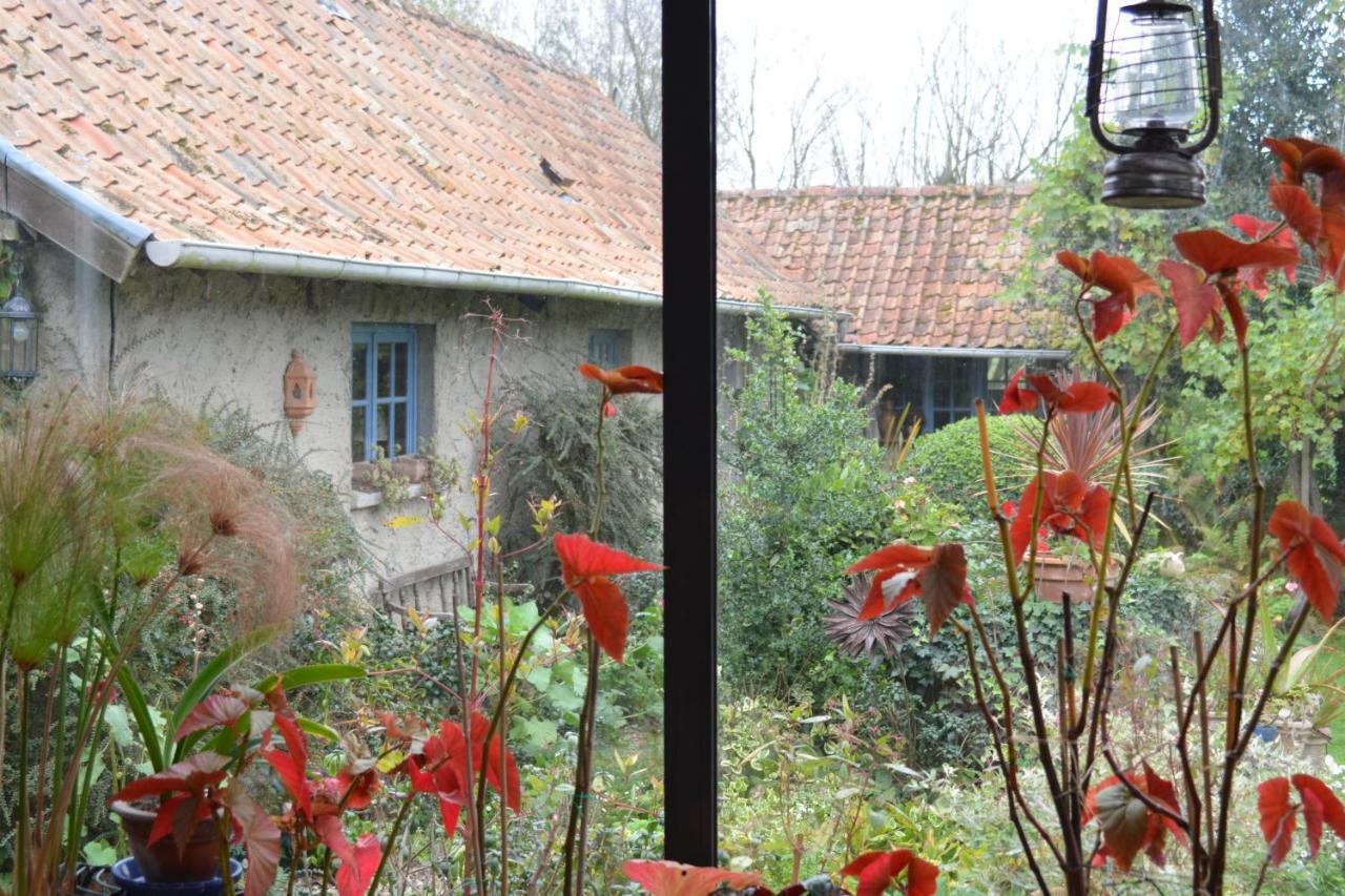 Le Jardin Sauvage Bed & Breakfast Maintenay ภายนอก รูปภาพ