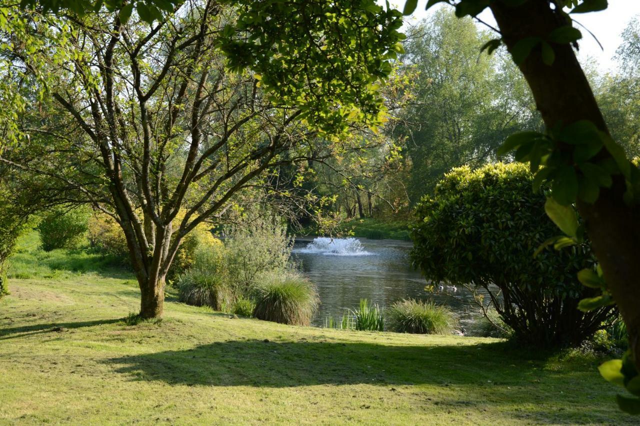 Le Jardin Sauvage Bed & Breakfast Maintenay ภายนอก รูปภาพ